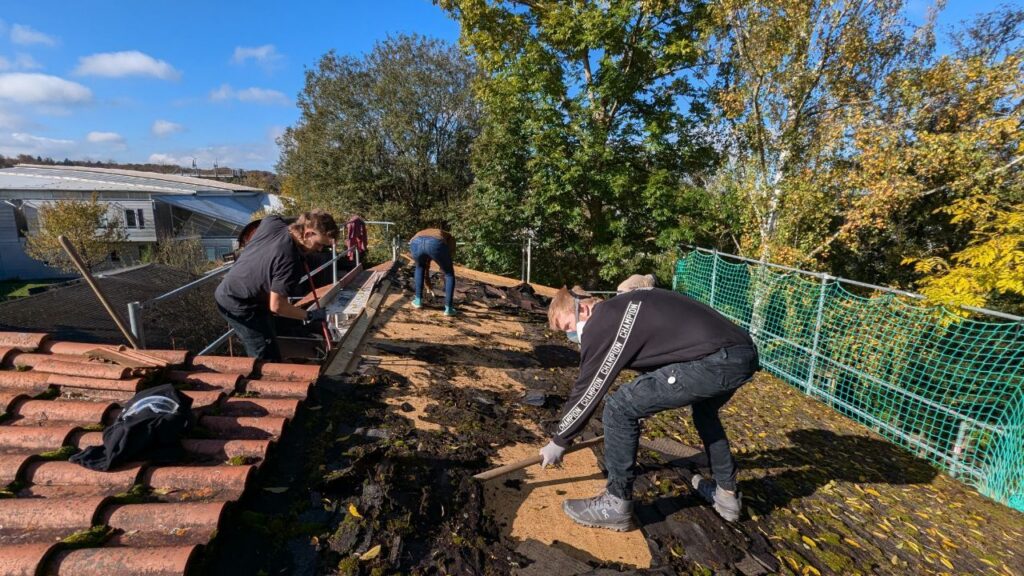 Vier Studenten arbeiten auf dem Dach und räumen der Dachbelag ab. Der Tag ist sonnig, im Hintergrund blauer Himmel und grüne Bäume